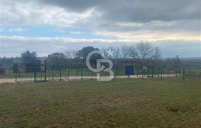 COLDWELL BANKER OFİS’DEN ÜÇPINAR’DA SATILIK TARLA