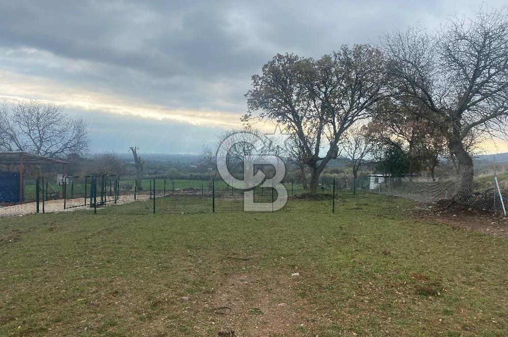 COLDWELL BANKER OFİS’DEN ÜÇPINAR’DA SATILIK TARLA