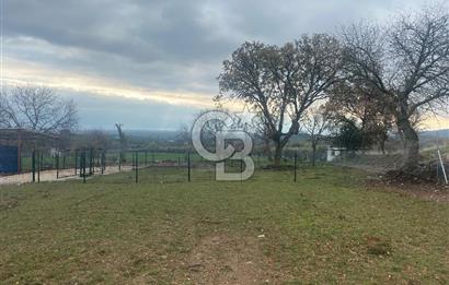 COLDWELL BANKER OFİS’DEN ÜÇPINAR’DA SATILIK TARLA