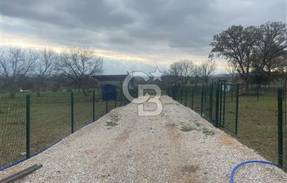 COLDWELL BANKER OFİS’DEN ÜÇPINAR’DA SATILIK TARLA