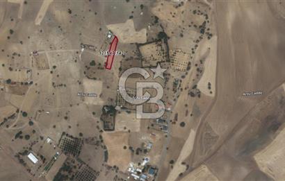 CB VİZYON BÜŞRA ERGÜL DEN GÖLBAŞI OYACA DA SATILIK TARLA