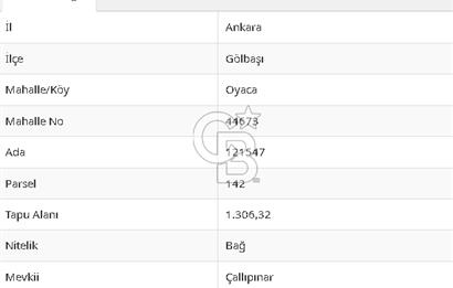 CB VİZYON BÜŞRA ERGÜL DEN GÖLBAŞI OYACA DA SATILIK TARLA