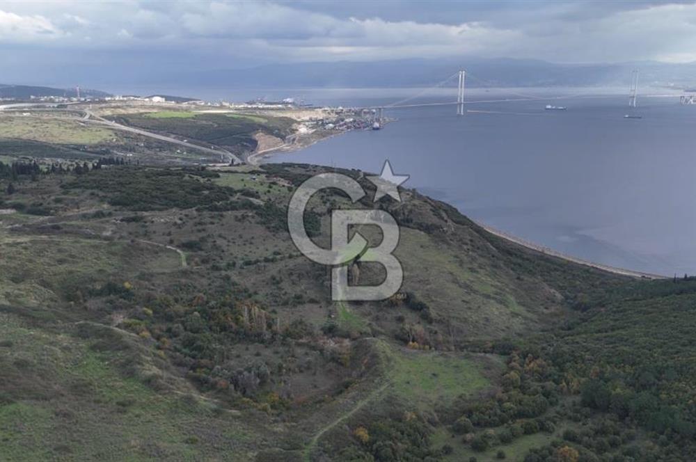 GEBZE MUALLİMKÖY'DE OSMANGAZİ KÖPRÜSÜNE YAKIN YATIRIMLIK TARLA !