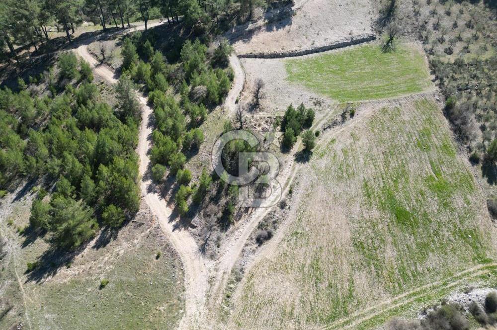 Muğla Menteşe Meke Mahallesinde 7.984 m² Satılık Tarla