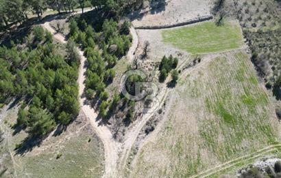 Muğla Menteşe Meke Mahallesinde 7.984 m² Satılık Tarla