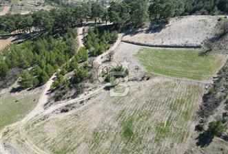 Muğla Menteşe Meke Mahallesinde 7.984 m² Satılık Tarla - 1 - 324366