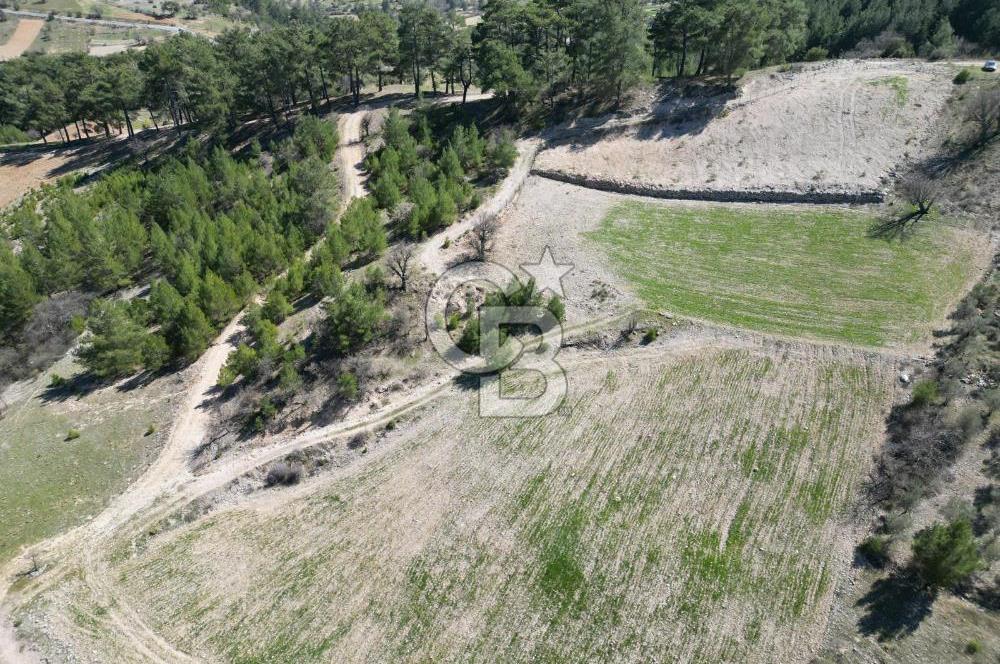 Muğla Menteşe Meke Mahallesinde 7.984 m² Satılık Tarla