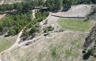 Muğla Menteşe Meke Mahallesinde 7.984 m² Satılık Tarla