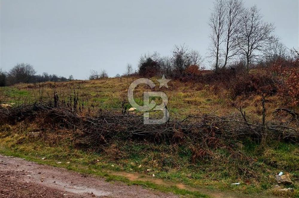 KOCAELİ, KANDIRA, EĞERCİLİ SATILIK YADA KARTAL DA DAİRE TAKASLI