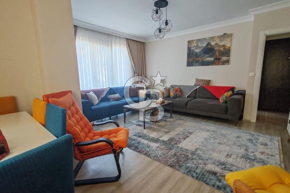 Yenidoğan safa Mah. 3+1 Arakat sa