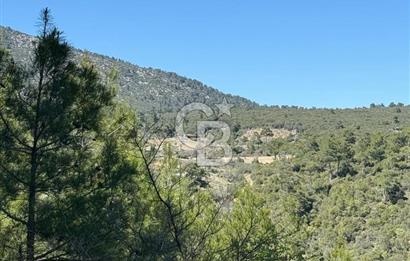 Muğla Menteşe Meke Mahallesinde 7.984 m² Satılık Tarla