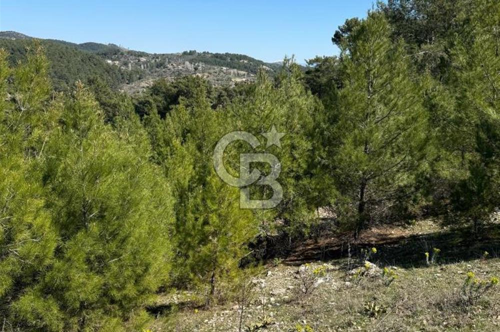 Muğla Menteşe Meke Mahallesinde 7.984 m² Satılık Tarla