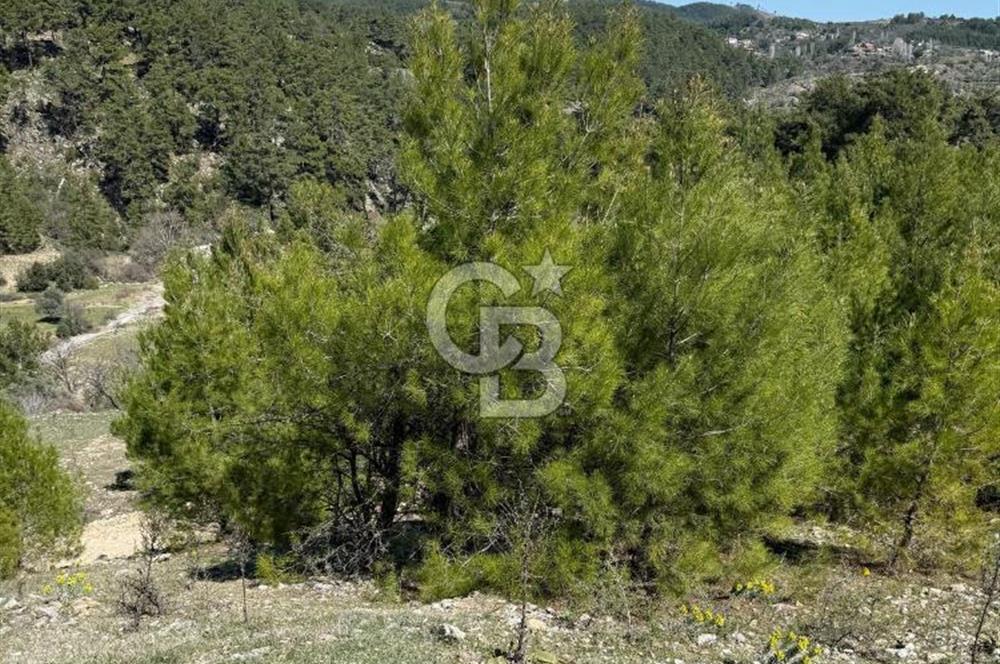 Muğla Menteşe Meke Mahallesinde 7.984 m² Satılık Tarla