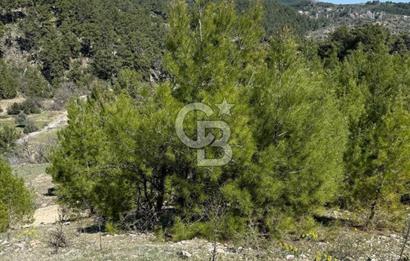 Muğla Menteşe Meke Mahallesinde 7.984 m² Satılık Tarla