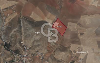 CB VİZYON BÜŞRA ERGÜL DEN ÇUBUK KIZILCA DA SATILIK TARLA