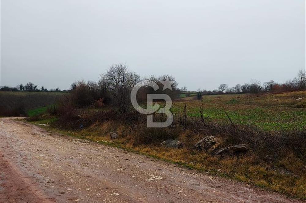 KOCAELİ, KANDIRA, EĞERCİLİ SATILIK YADA KARTAL DA DAİRE TAKASLI