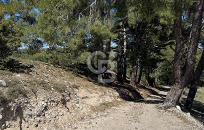 Muğla Menteşe Meke Mahallesinde 7.984 m² Satılık Tarla