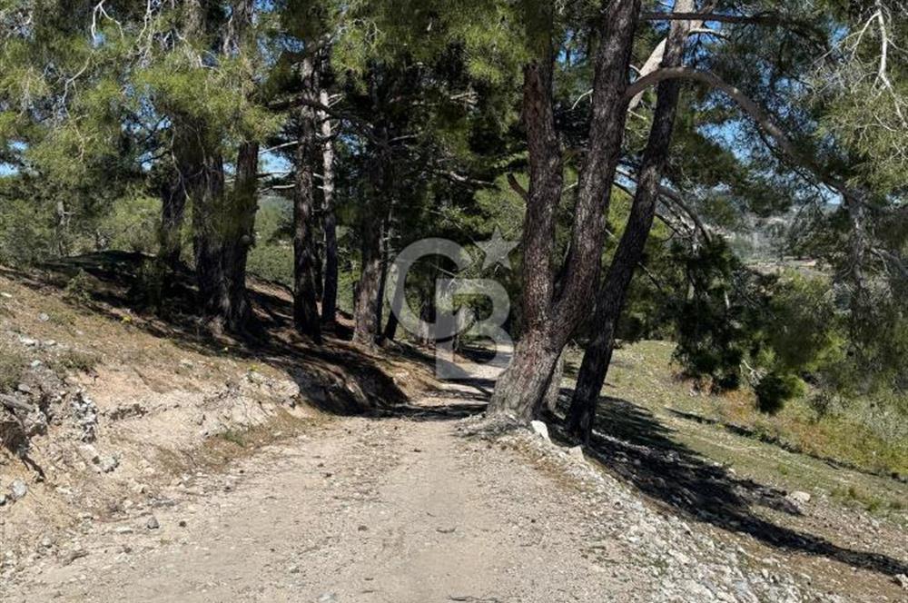 Muğla Menteşe Meke Mahallesinde 7.984 m² Satılık Tarla