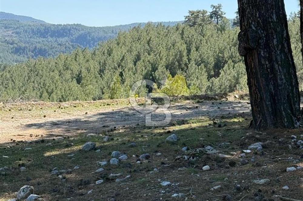 Muğla Menteşe Meke Mahallesinde 7.984 m² Satılık Tarla