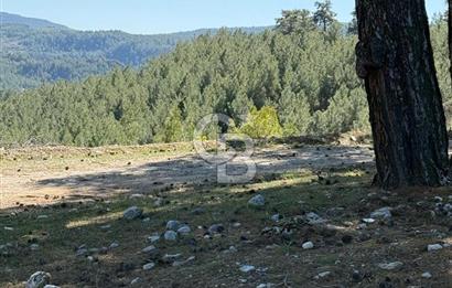 Muğla Menteşe Meke Mahallesinde 7.984 m² Satılık Tarla