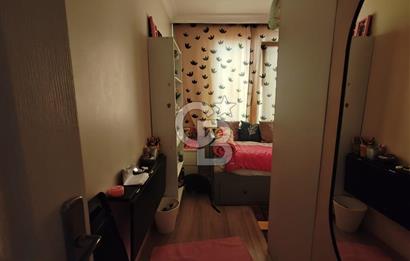 Yenidoğan safa Mah. 3+1 Arakat sa