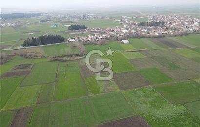 CB KİNG'DEN BALIKESİR/ATKÖY MAHALLESİ SATILIK TARLA