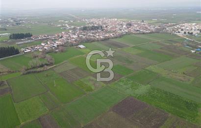 CB KİNG'DEN BALIKESİR/ATKÖY MAHALLESİ SATILIK TARLA