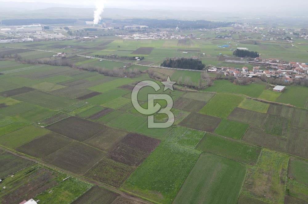 CB KİNG'DEN BALIKESİR/ATKÖY MAHALLESİ SATILIK TARLA