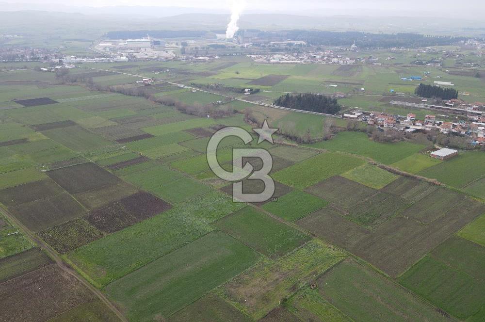 CB KİNG'DEN BALIKESİR/ATKÖY MAHALLESİ SATILIK TARLA