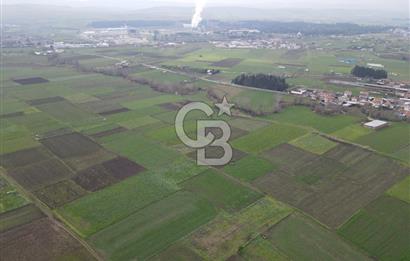 CB KİNG'DEN BALIKESİR/ATKÖY MAHALLESİ SATILIK TARLA