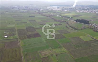 CB KİNG'DEN BALIKESİR/ATKÖY MAHALLESİ SATILIK TARLA