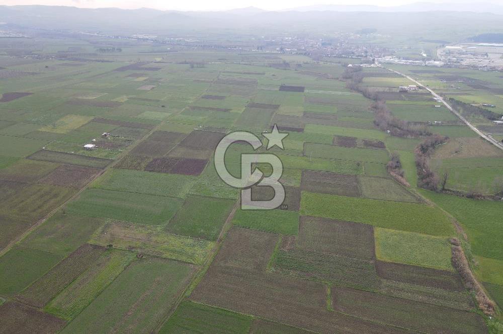 CB KİNG'DEN BALIKESİR/ATKÖY MAHALLESİ SATILIK TARLA