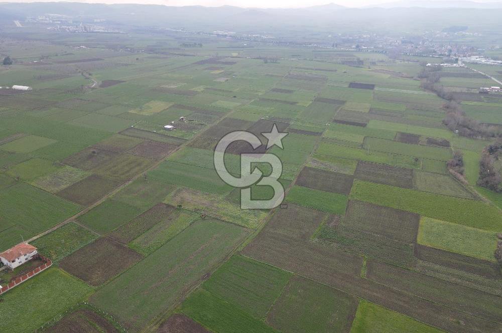 CB KİNG'DEN BALIKESİR/ATKÖY MAHALLESİ SATILIK TARLA