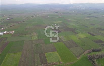 CB KİNG'DEN BALIKESİR/ATKÖY MAHALLESİ SATILIK TARLA