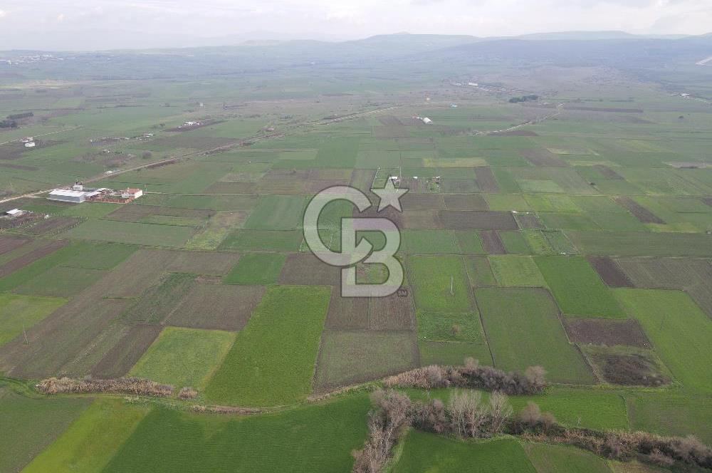 CB KİNG'DEN BALIKESİR/ATKÖY MAHALLESİ SATILIK TARLA