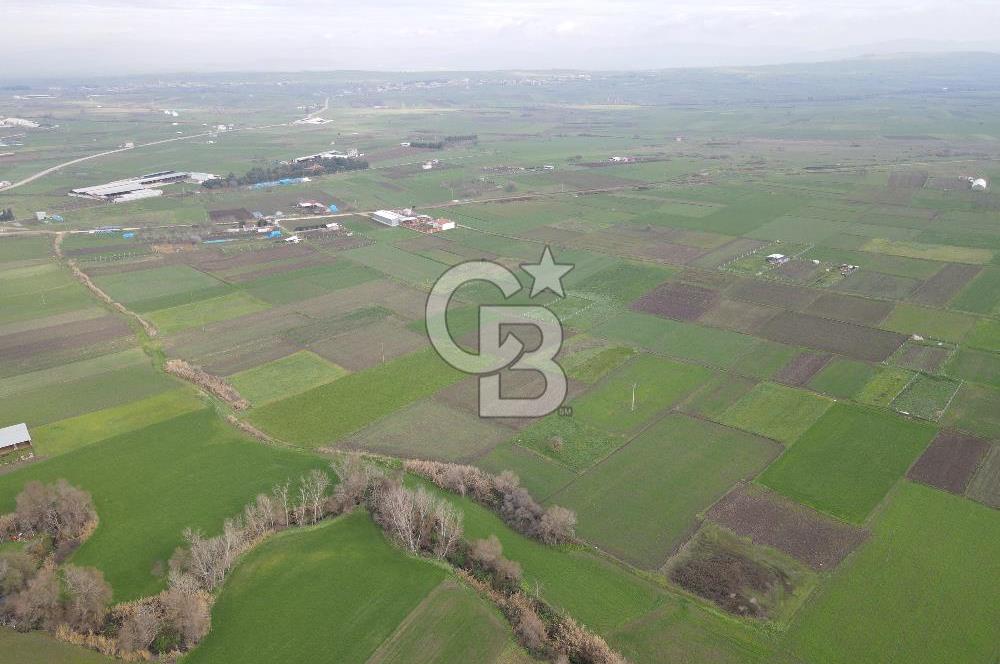 CB KİNG'DEN BALIKESİR/ATKÖY MAHALLESİ SATILIK TARLA