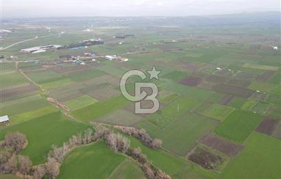 CB KİNG'DEN BALIKESİR/ATKÖY MAHALLESİ SATILIK TARLA