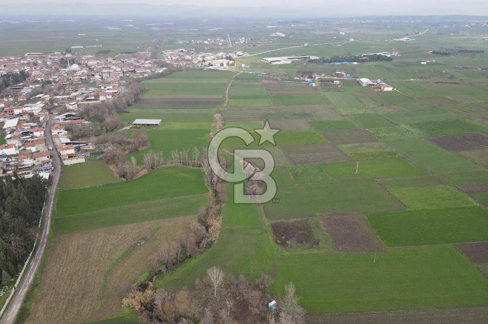 CB KİNG'DEN BALIKESİR/ATKÖY MAHALLESİ SATILIK TARLA