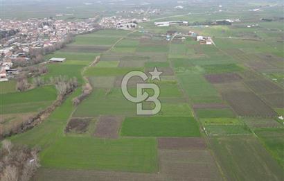 CB KİNG'DEN BALIKESİR/ATKÖY MAHALLESİ SATILIK TARLA