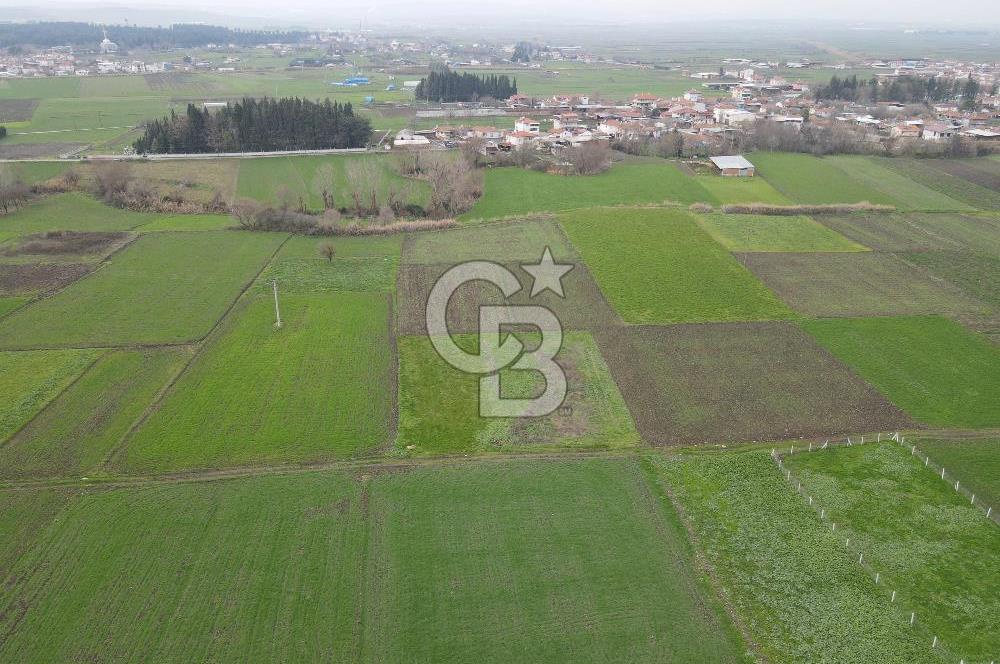 CB KİNG'DEN BALIKESİR/ATKÖY MAHALLESİ SATILIK TARLA