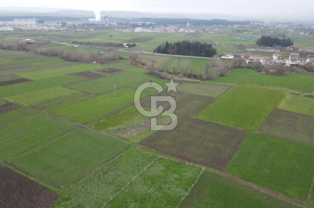 CB KİNG'DEN BALIKESİR/ATKÖY MAHALLESİ SATILIK TARLA