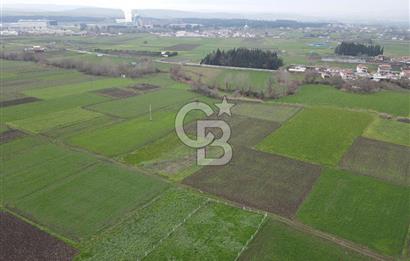 CB KİNG'DEN BALIKESİR/ATKÖY MAHALLESİ SATILIK TARLA