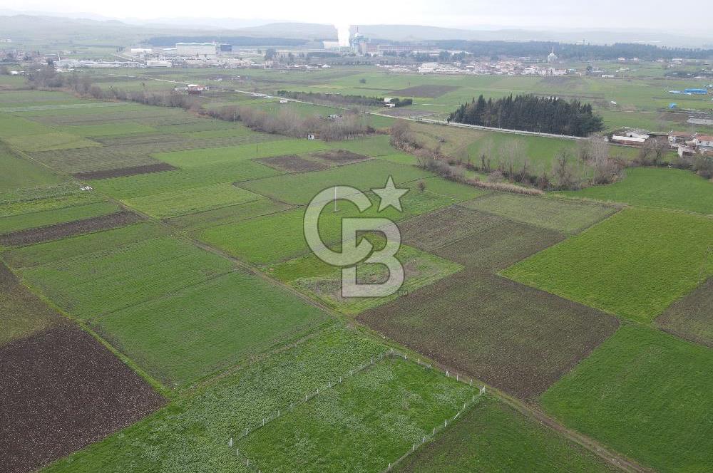 CB KİNG'DEN BALIKESİR/ATKÖY MAHALLESİ SATILIK TARLA