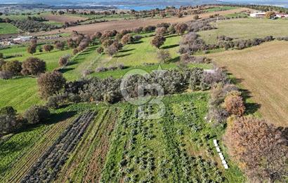 Karacaören’de Full Boğaz & Deniz Manzaralı | Yerleşim İçinde | 2042 m² Satılık Tarla