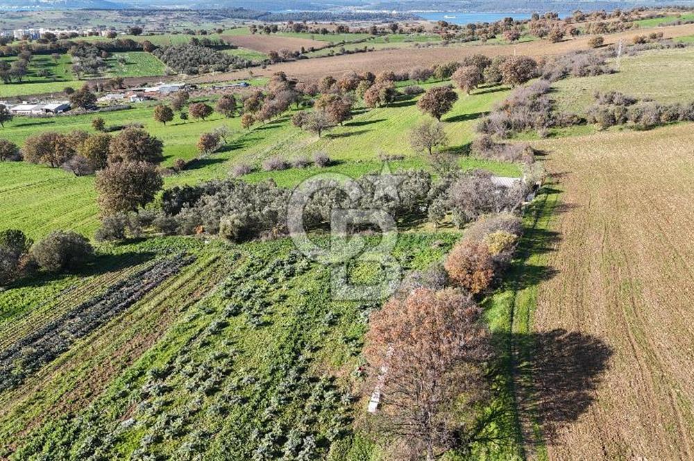 Karacaören’de Full Boğaz & Deniz Manzaralı | Yerleşim İçinde | 2042 m² Satılık Tarla