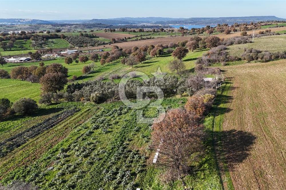 Karacaören’de Full Boğaz & Deniz Manzaralı | Yerleşim İçinde | 2042 m² Satılık Tarla