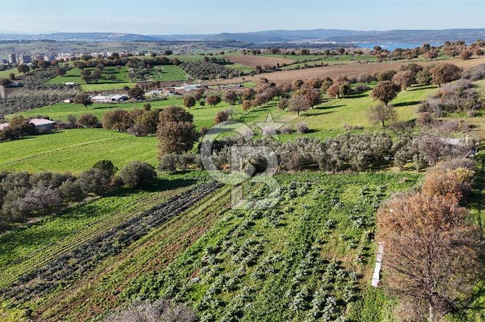 Karacaören’de Full Boğaz & Deniz Manzaralı | Yerleşim İçinde | 2042 m² Satılık Tarla