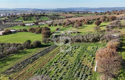 Karacaören’de Full Boğaz & Deniz Manzaralı | Yerleşim İçinde | 2042 m² Satılık Tarla