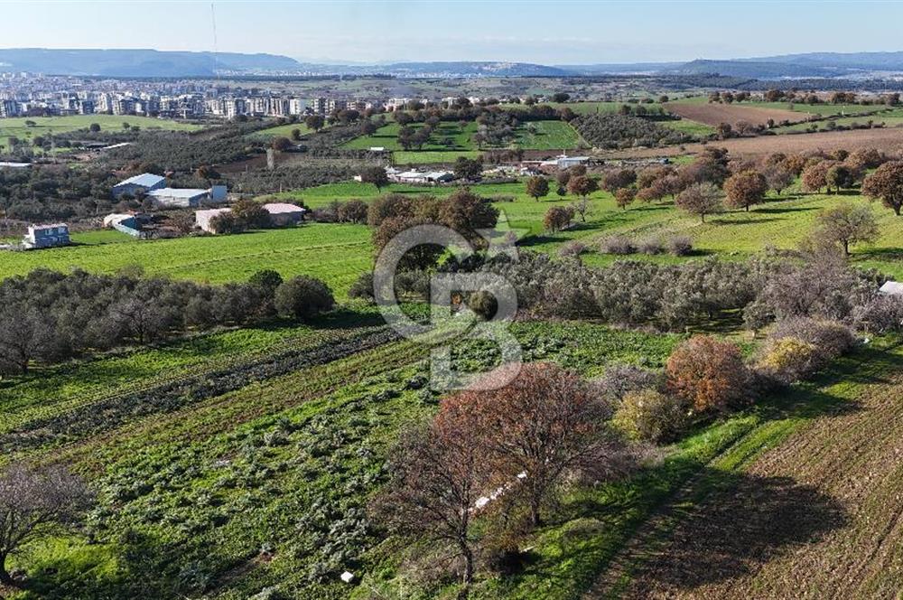 Karacaören’de Full Boğaz & Deniz Manzaralı | Yerleşim İçinde | 2042 m² Satılık Tarla