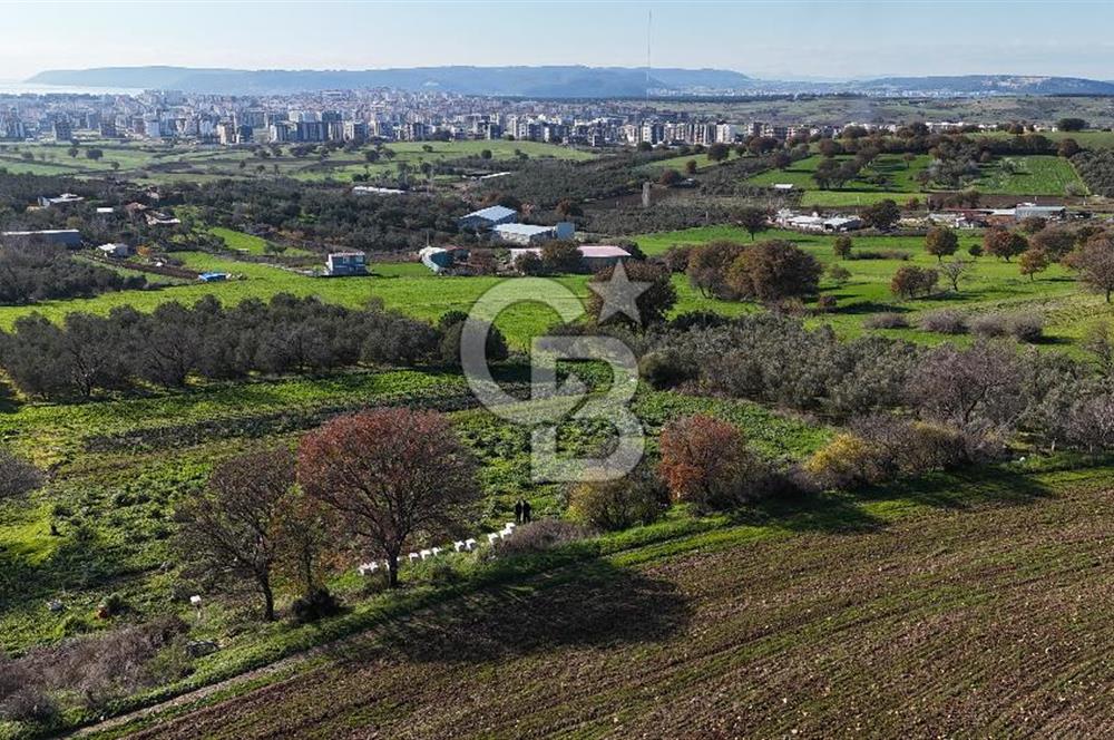 Karacaören’de Full Boğaz & Deniz Manzaralı | Yerleşim İçinde | 2042 m² Satılık Tarla